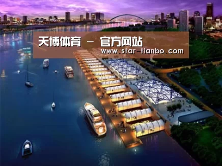 案例展示八