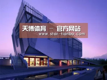 案例展示六