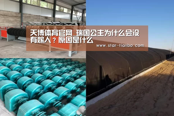 天博体育官网_瑞国公主为什么会没有嫁人?原因是什么(图3) 天博官方