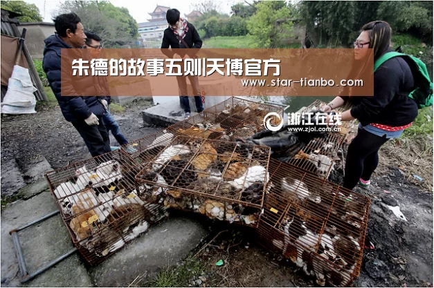 天博体育官网