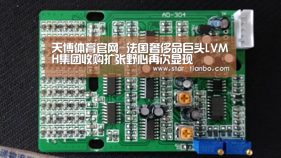 天博体育官网-法国奢侈品巨头LVMH集团收购扩张野心再次显现(图2) 天博体育入口