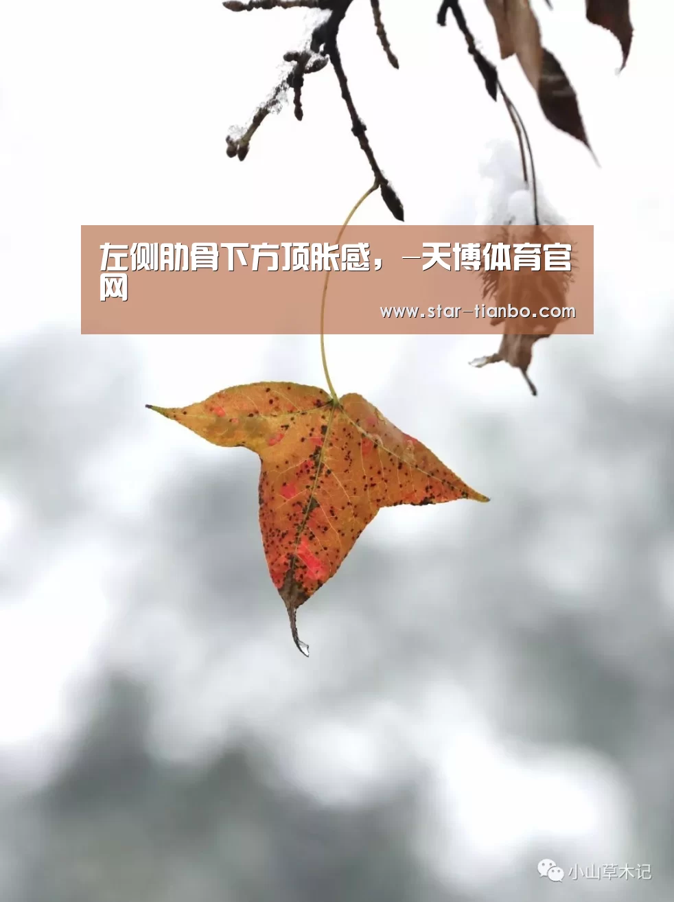 左侧肋骨下方顶胀感,-天博体育官网(图1) 天博体育官网