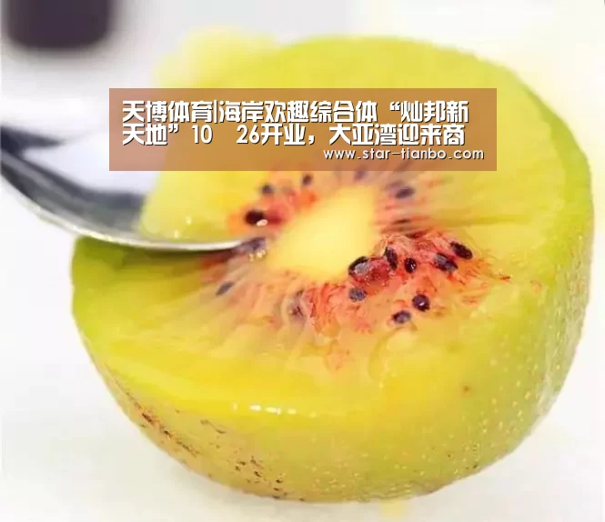 天博体育|海岸欢趣综合体“灿邦新天地”10•26开业,大亚湾迎来商业新地标(图2) 天博体育入口