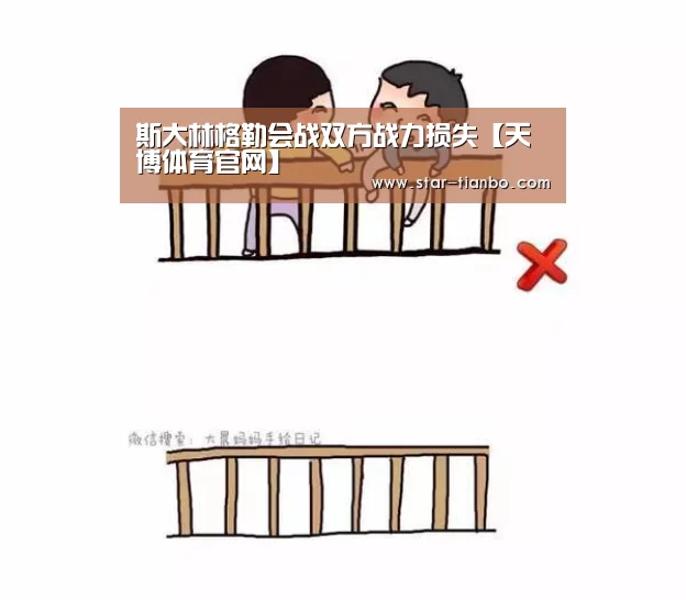 斯大林格勒会战双方战力损失【天博体育官网】(图3) 天博体育