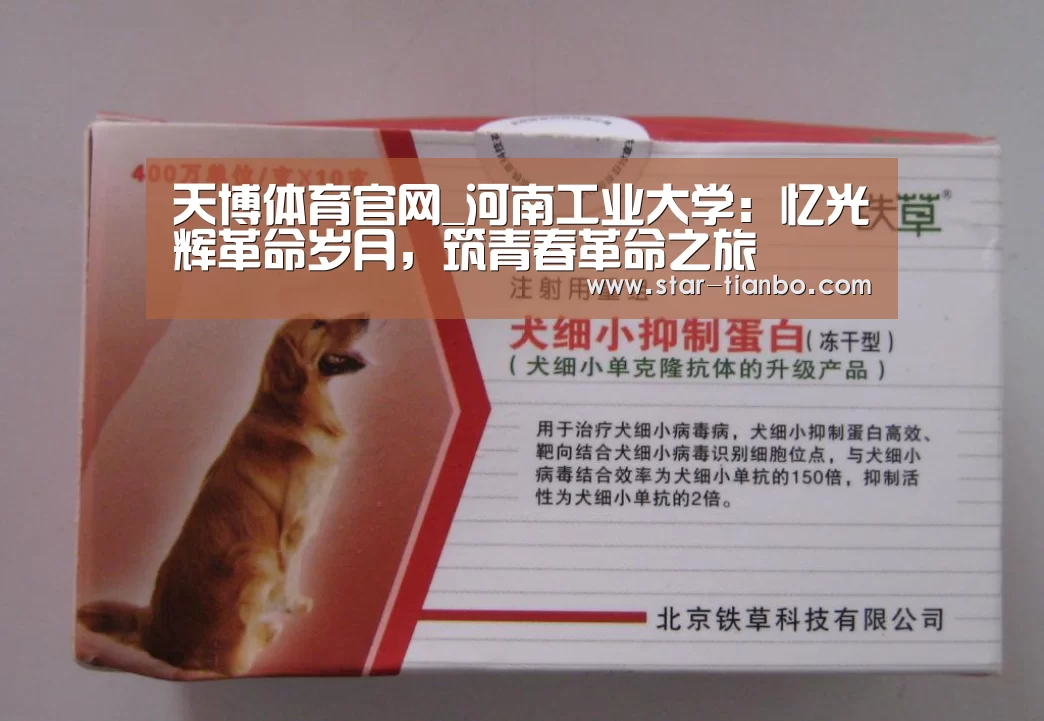 天博体育官网_河南工业大学:忆光辉革命岁月,筑青春革命之旅(图1) 天博体育官网